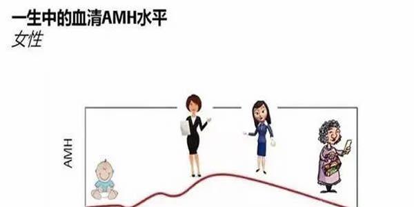 AMH值0.04还能做试管婴儿吗，成功率有多少
