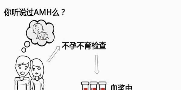 [专项科普]AMH值0.2还能做试管婴儿吗，成功率有多少