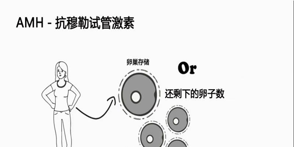 [专项科普]AMH值1.2还能做试管婴儿吗？成功率有多少？