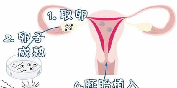 试管过程图.jpg