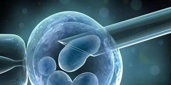 2分钟带你了解试管婴儿常见的7种促排方案
