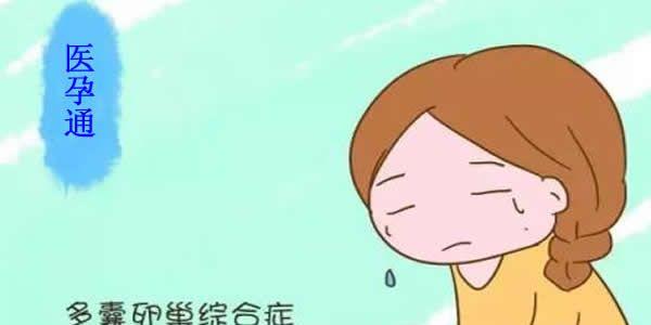 多囊卵巢试管婴儿移植囊胚成功率高吗