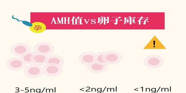 AMH值0.09可以做试管婴儿吗