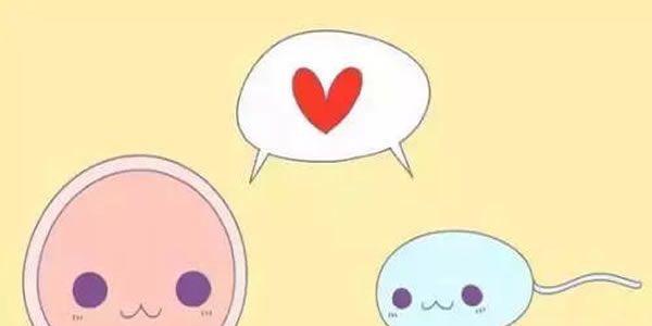 精子畸形率99%能做试管婴儿吗1.jpg