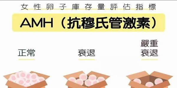 AMH值1.42能否做试管婴儿，成功率高吗