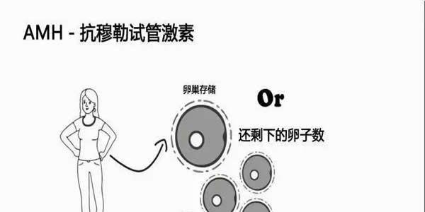 amh值低于0.1试管婴儿成功率能达到多少