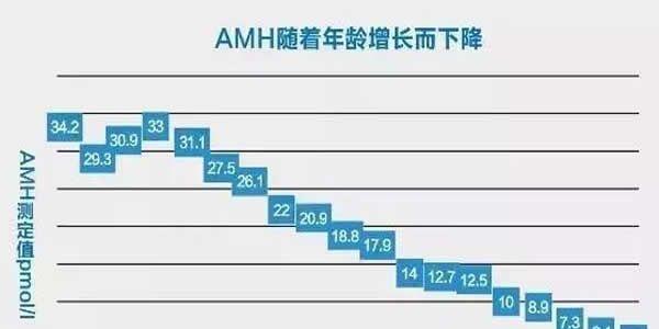 AMH值能否作为判断试管婴儿成功率的重要因素