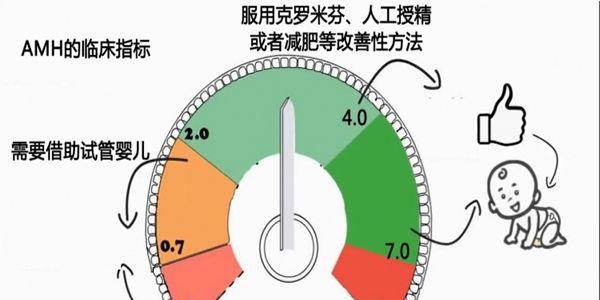 amh指标