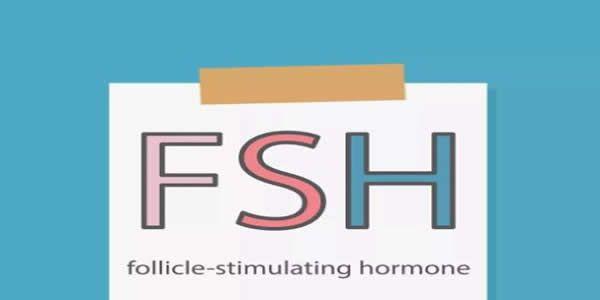 fsh高能试管婴儿吗