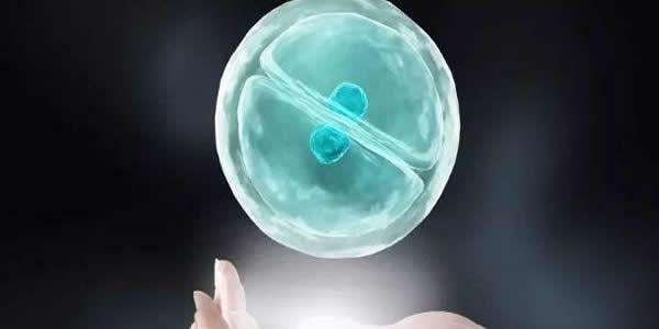 专家答疑国内可以做第四代试管婴儿吗-2021年暂时不可以