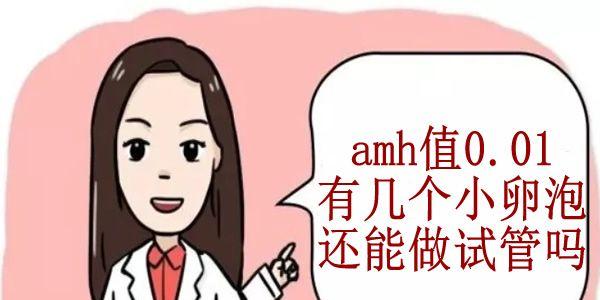 amh值0.01有几个小卵泡还能做试管吗-在排卵就还有机会