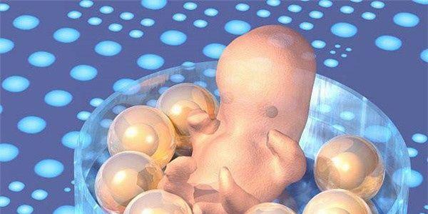 试管婴儿囊胚培养移植的4个优势和2个风险-试管移植须知