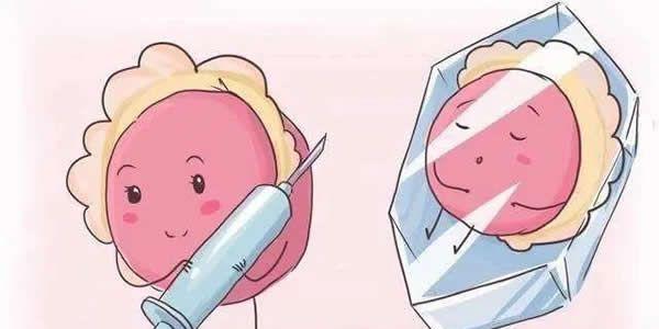 胎停或流产后多久可以做试管婴儿-要分情况而论