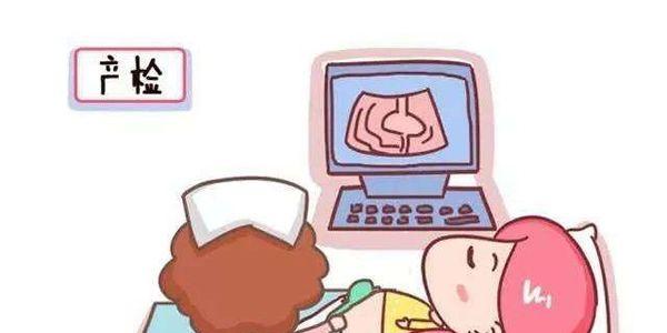 专题科普-高龄女性做试管婴儿容易畸形吗