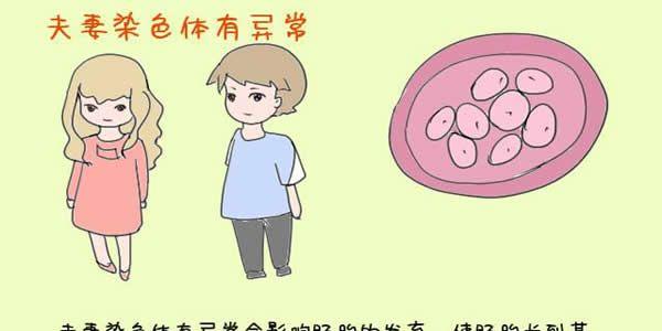 揭秘导致试管失败的6大重要因素-希望患者知晓提前预防