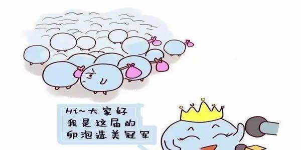 卵泡质量
