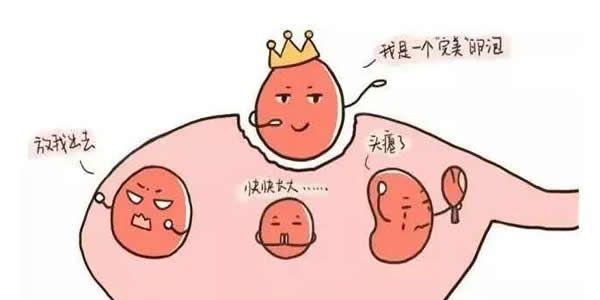 高龄女性卵泡少想要做试管生儿子