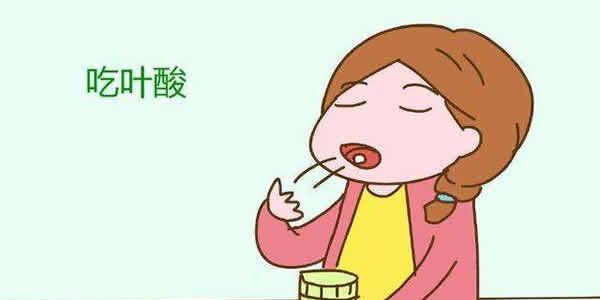 怀孕前3个月要补充叶酸