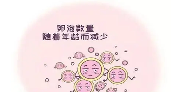 高龄女性做试管反复移植失败的原因-看看你是否有这些问题