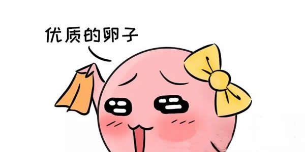 超高龄准备试管如何才能提高卵子质量-四步得到优质卵子