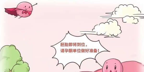 移植后黄体补充