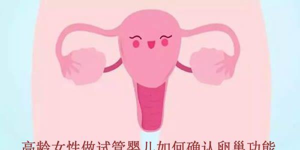 高龄女性做试管婴儿如何确认卵巢功能-四个数据进行评估