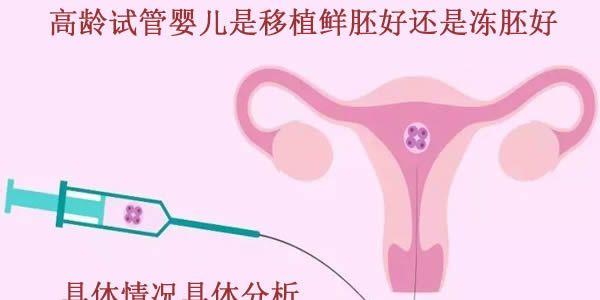 高龄试管婴儿是移植鲜胚好还是冻胚好-具体情况具体分析