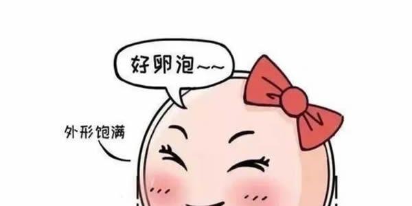 卵泡质量好