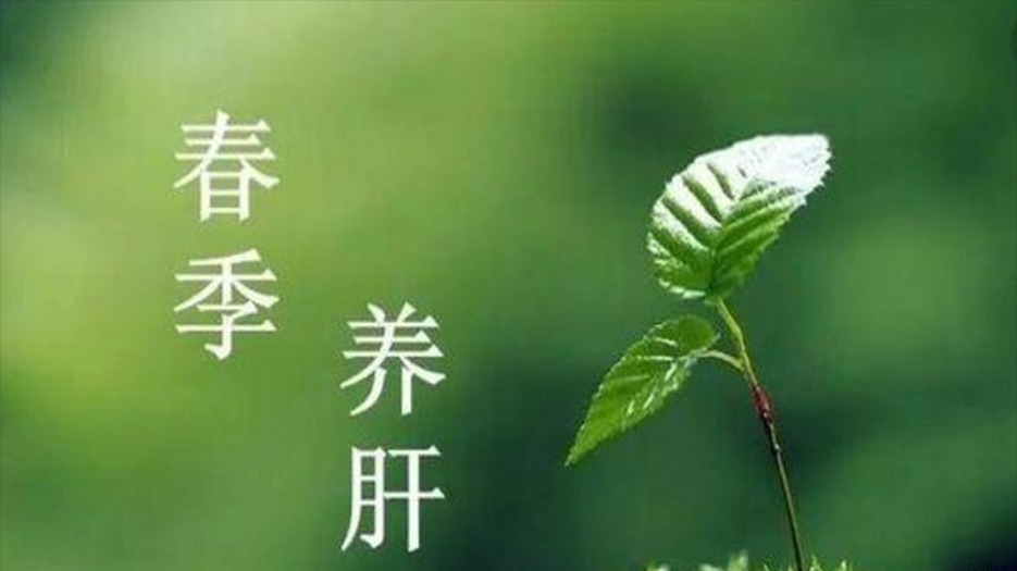 微信截图_20230323162510.png