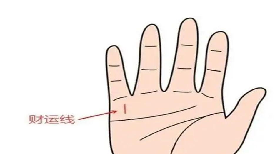 财运纹.jpg