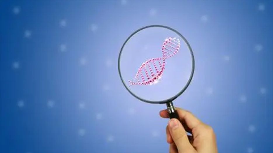 微信截图_20210910144928.png