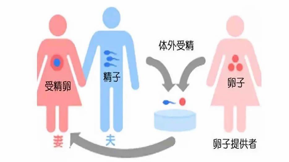 试管婴儿试管宝宝.jpg
