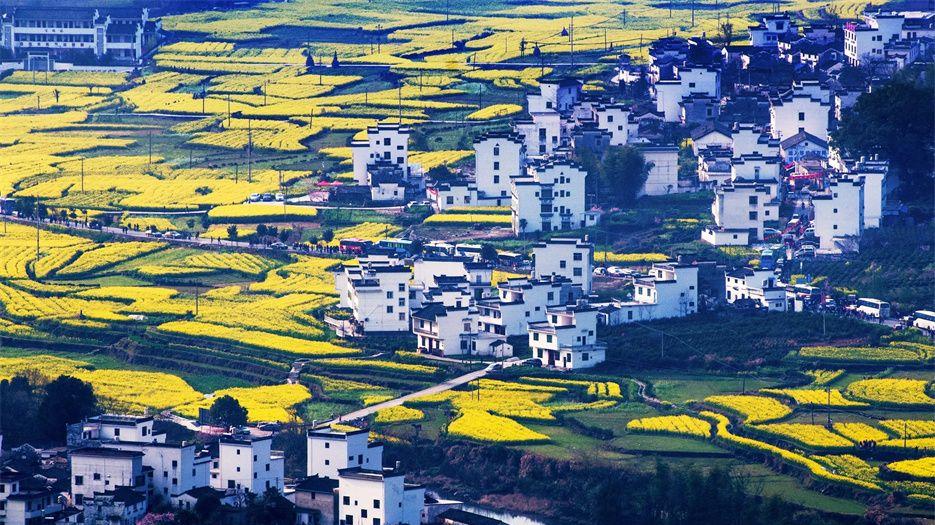 1665388440832303.jpg 江西25.webp.jpg