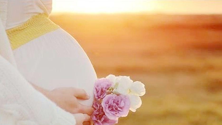 试管婴儿试管婴儿1.jpg