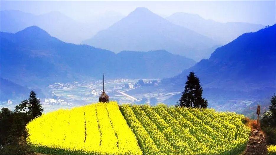 江西24.webp.jpg