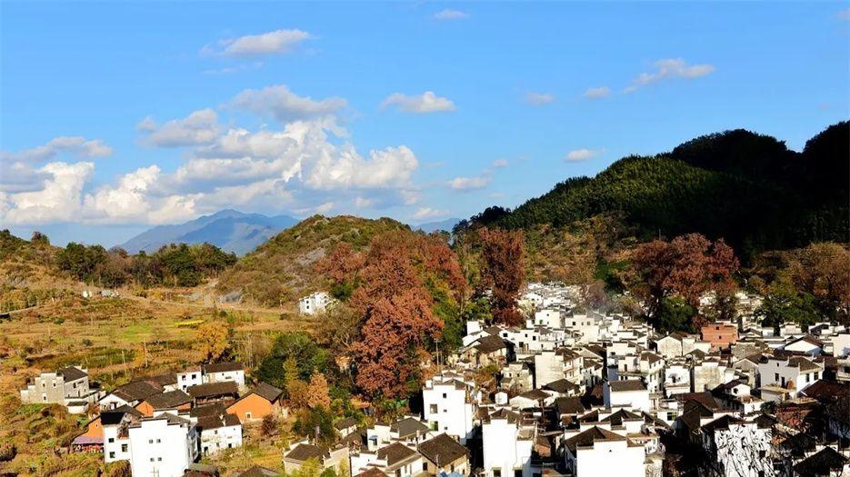 江西14.webp.jpg