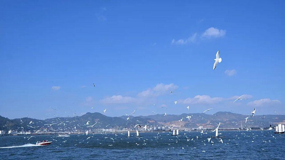 昆明3.webp_副本.jpg