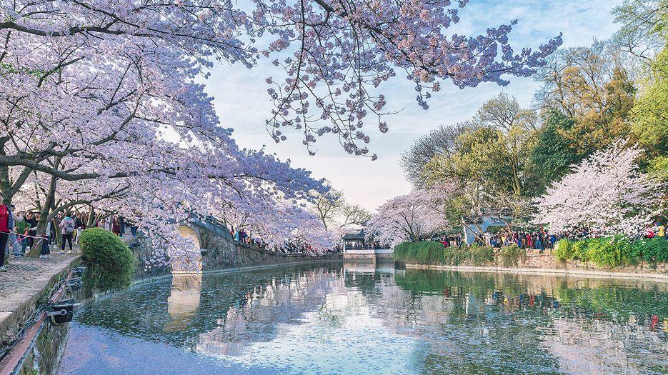 长春市.jpg