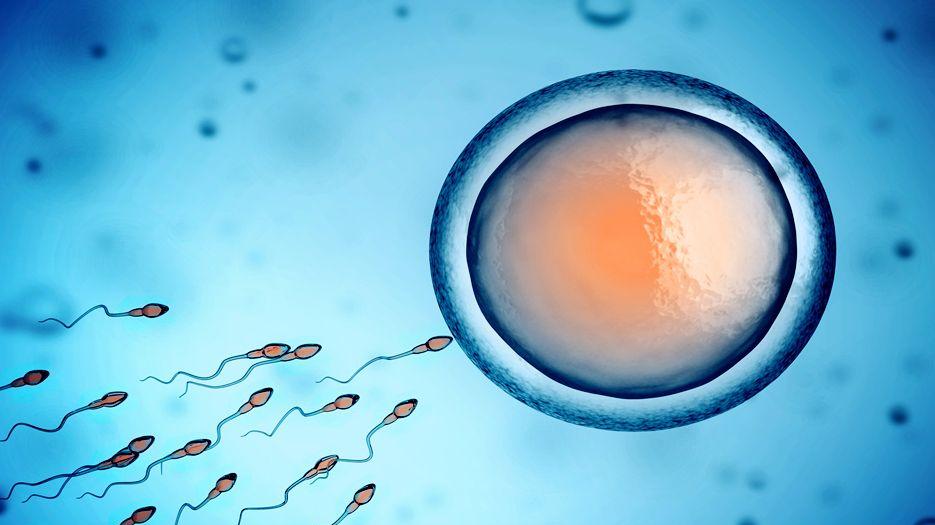2022男性健康知识小常识分享-备孕男性吃什么精子强？ (1).jpg