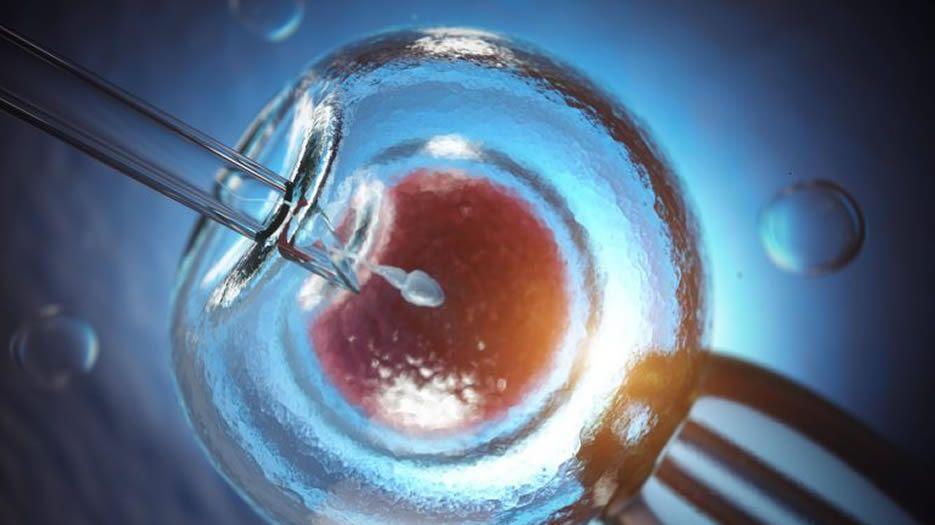 artificial-insemination-fertilization-of-human-egg-58MYEBP11-768x512.jpg