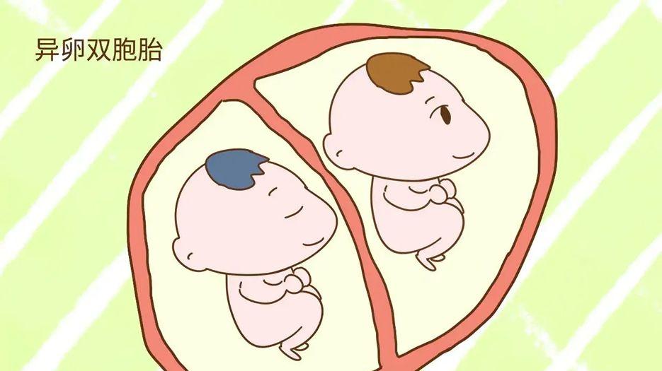 双胞胎.jpg