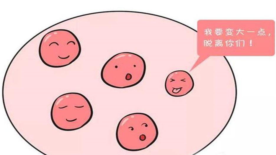 促排卵吃啥可以提高卵泡质量.jpg