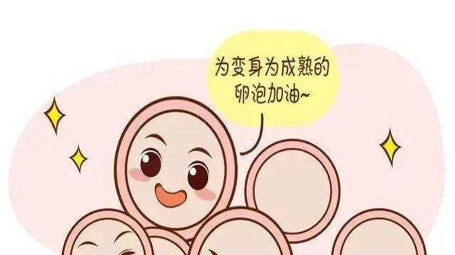 促排卵吃啥可以提高卵泡质量.jpg