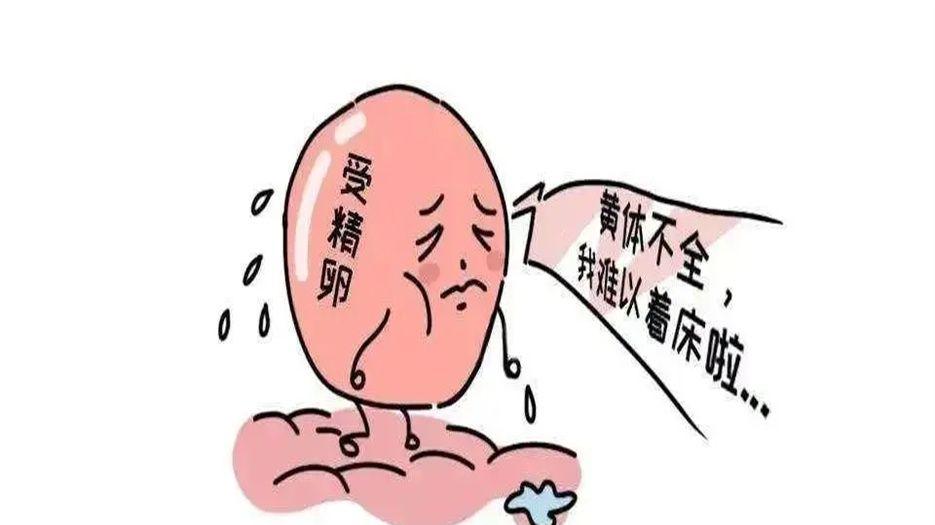 黄体功能不全是什么原因造成的.jpg