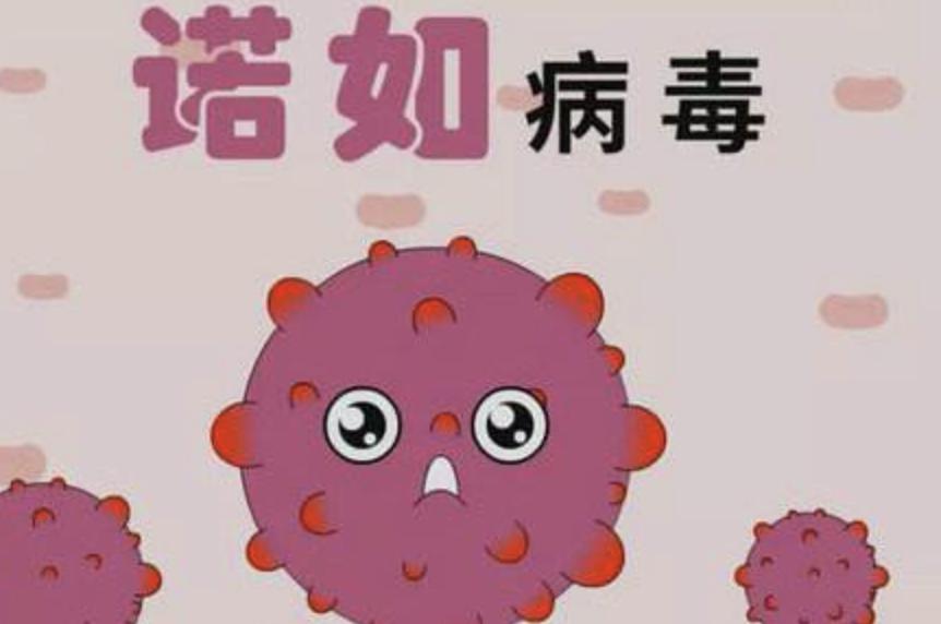 诺如病毒传播途径及预防措施.jpeg
