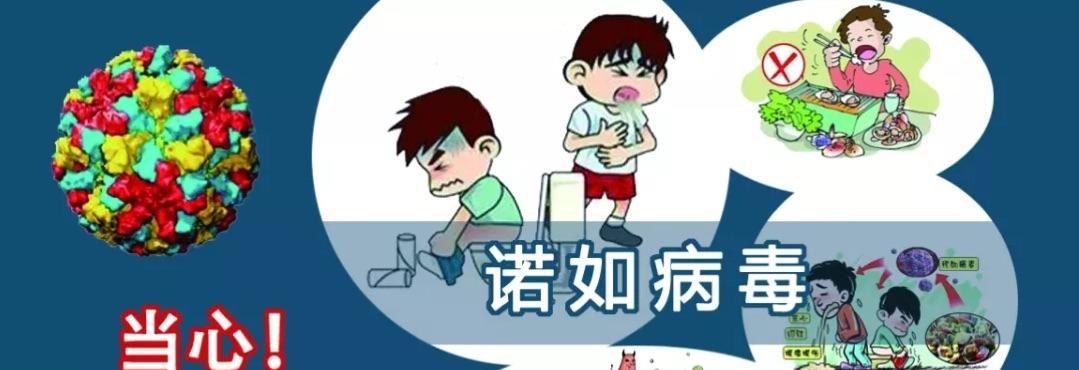 诺如病毒传播途径及预防措施.jpeg