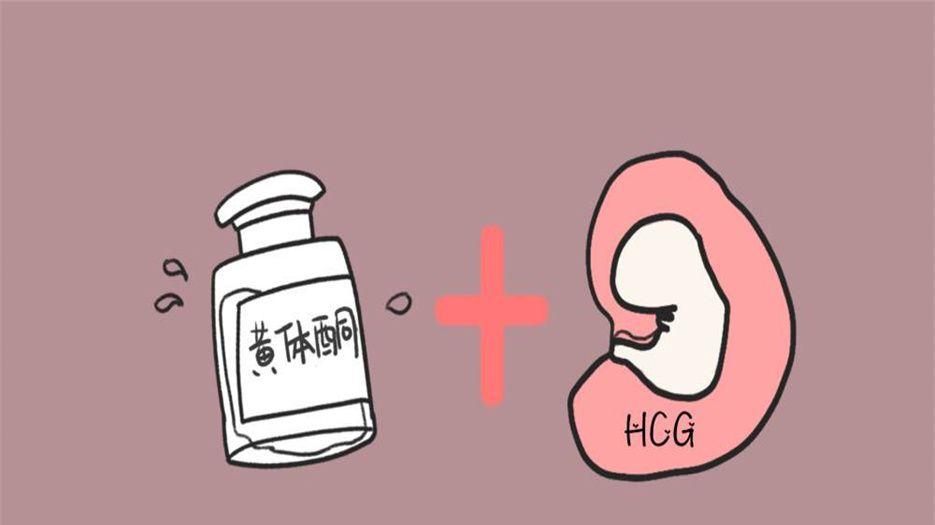 如何促进hcg翻倍小妙招.jpeg