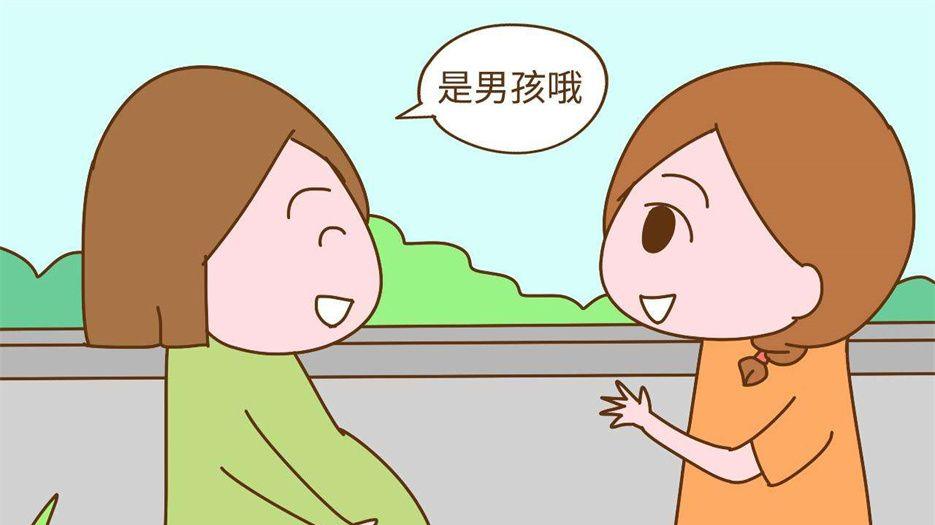 想要个男孩怎么备孕.jpeg
