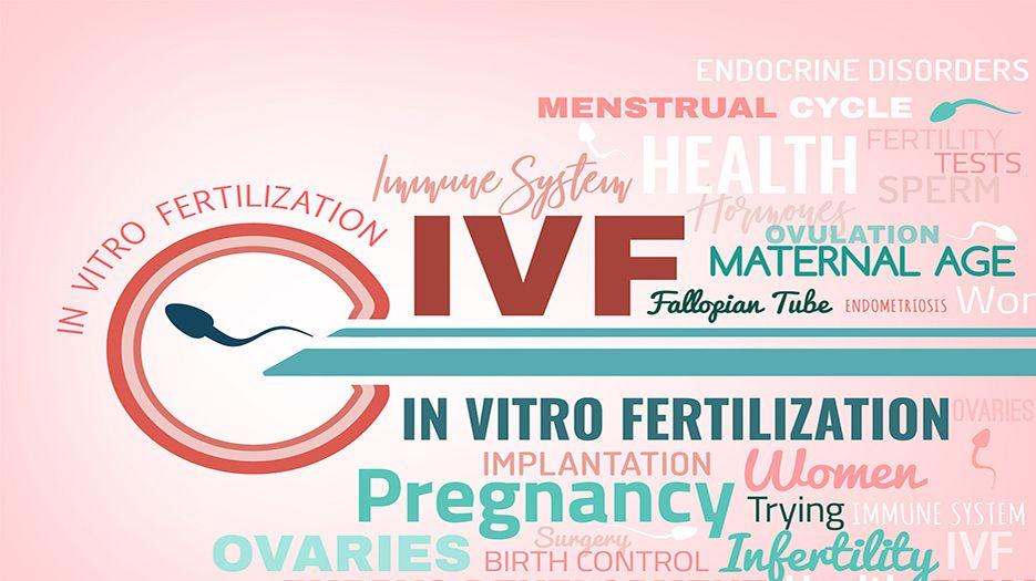 ivf (4).jpg