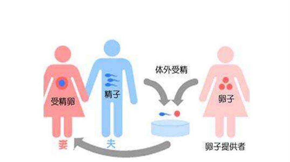 2022上半年国内试管婴儿医院排名前十.jpg